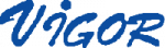 VIGOR