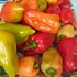 natashenka76@list.ru natashenka76@list.ru